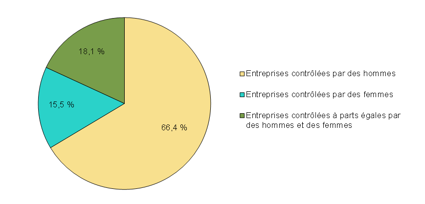 Graphique 5.5 - Répartition de la propriété d'entreprises selon le sexe