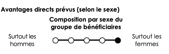 Composition par sexe du groupe de bénéficiaires : Surtout les femmes
