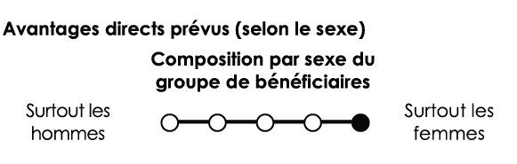 Composition par sexe du groupe de bénéficiaires : Surtout les femmes