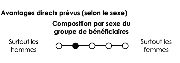 Composition par sexe du groupe de bénéficiaires : 60 % à 79 % des hommes