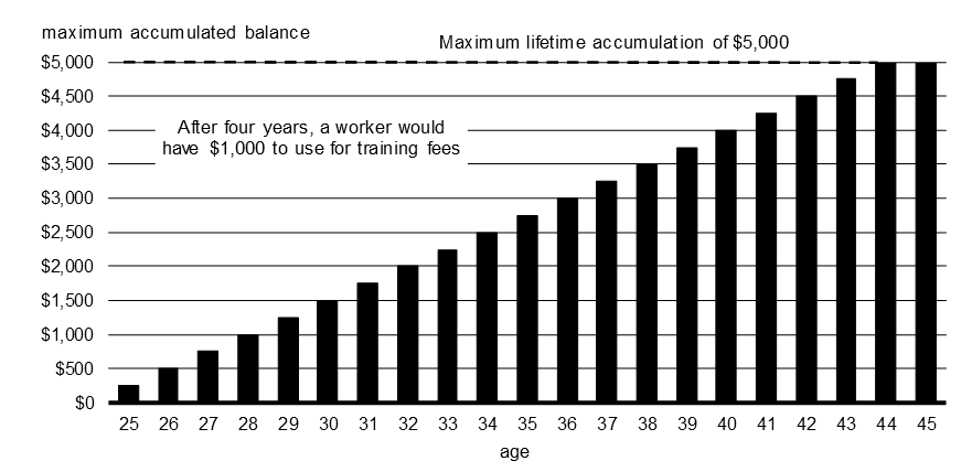 Chart 1.3 Training Credit Balance by Age