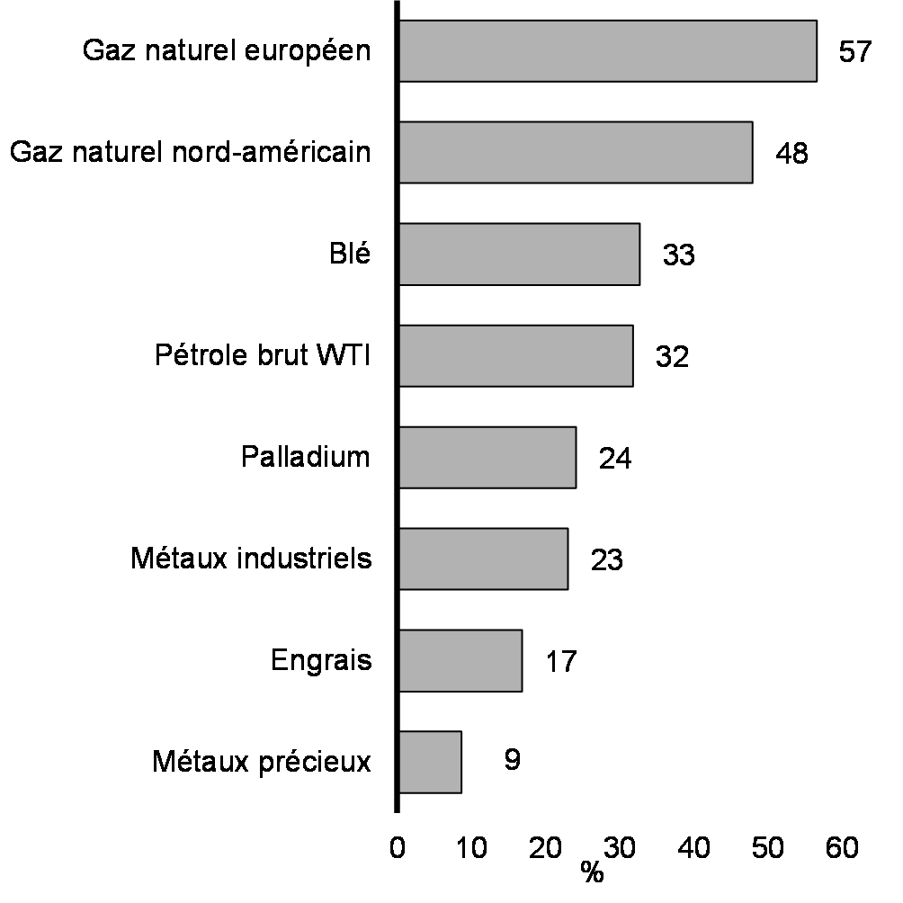 Graphique 8 : Variation des prix de certains produits de base depuis le 3 janvier 2022