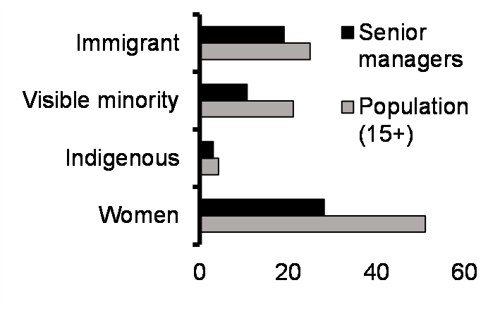 Senior managers (%, 2016)