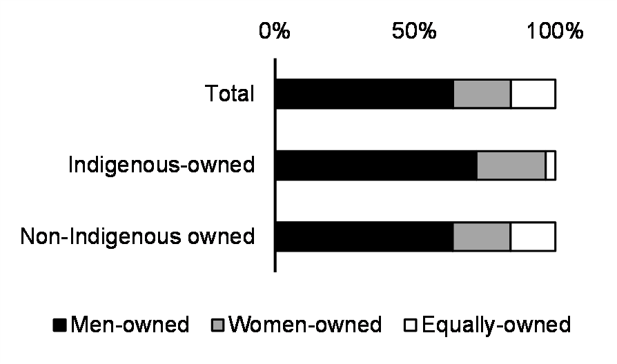Indigenous-owned business by gender of ownership (%, 2018)