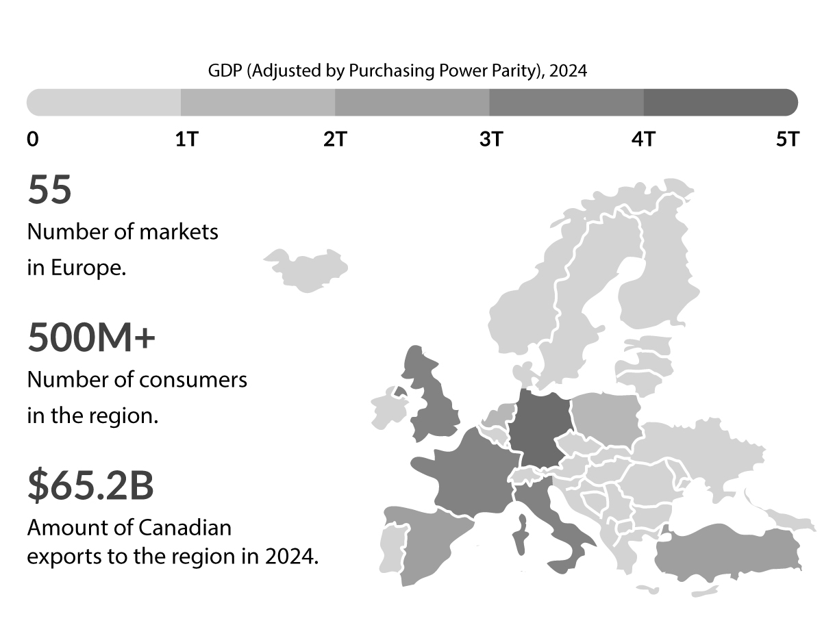 Figure 2.3: Leveraging Strategic Opportunities in Europe