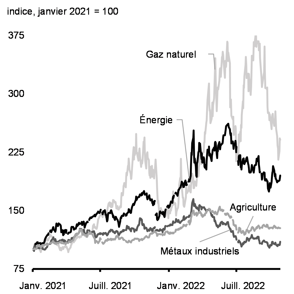 Graphique 1.2: Commodity Prices